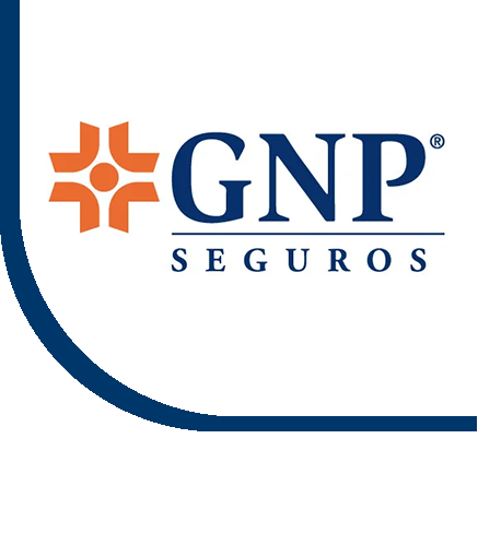 GNP